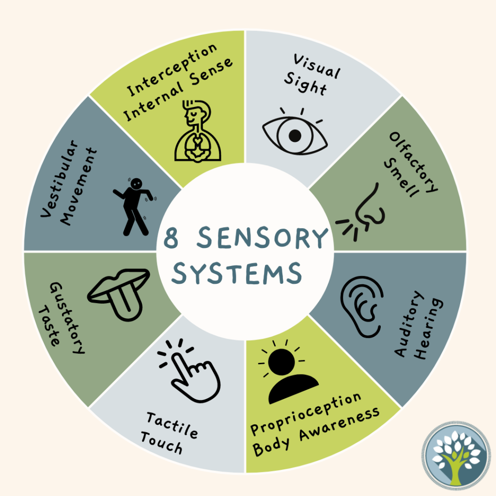 Eight Sensory Systems | Family Achievement Center